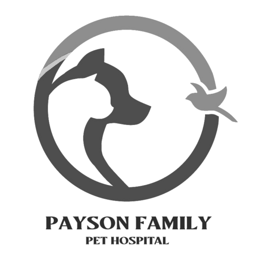 Payson Family Pet Hospital