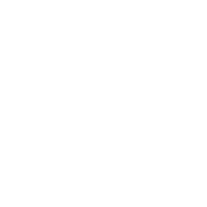 Catch problem icon